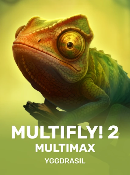 MultiFly! 2 MultiMax